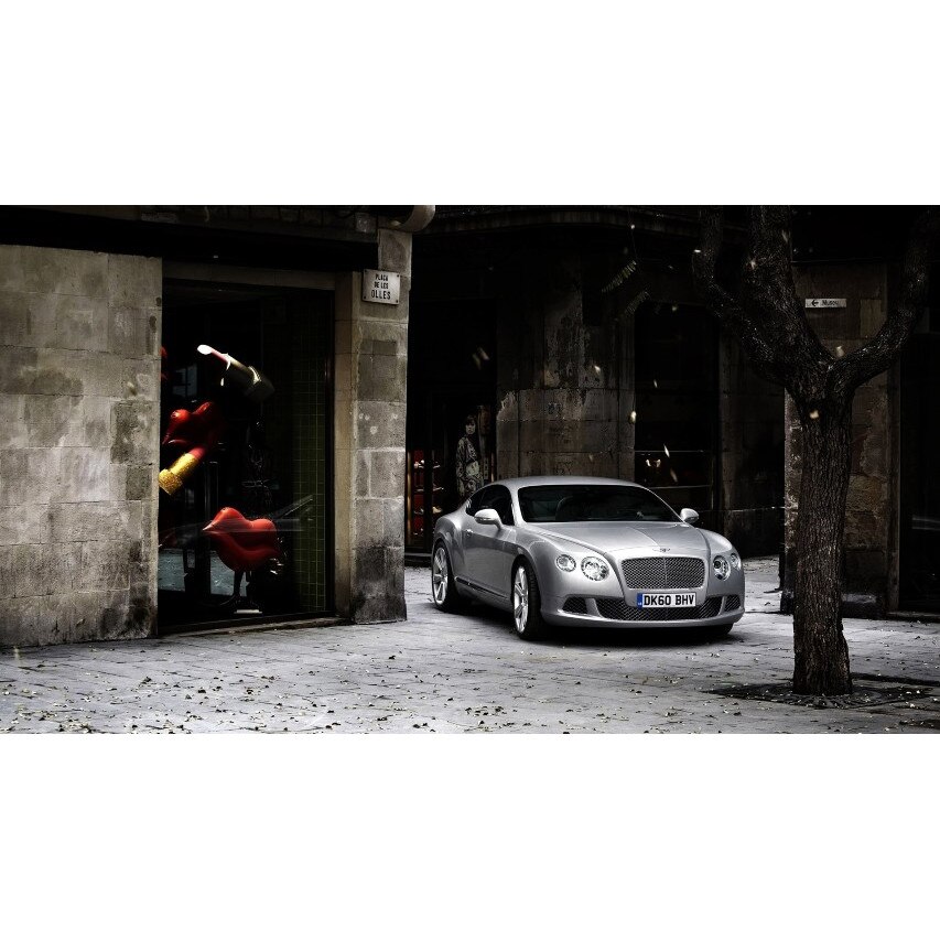 Tablou canvas 50x90 cm, Auto model 60