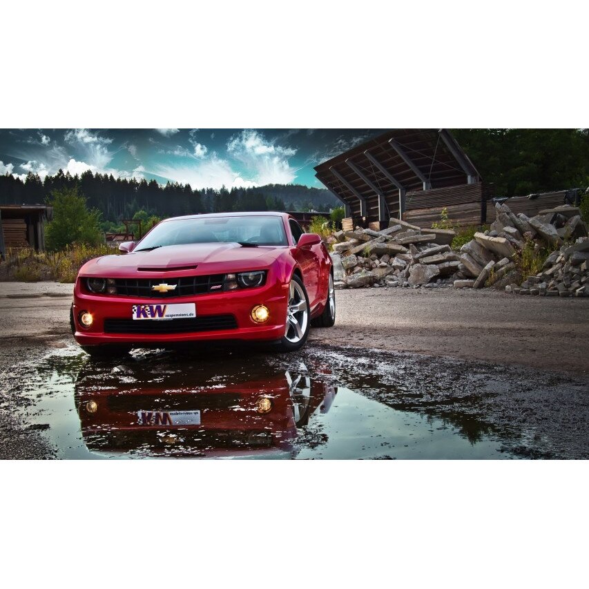 Tablou canvas 50x90 cm, Auto model 89