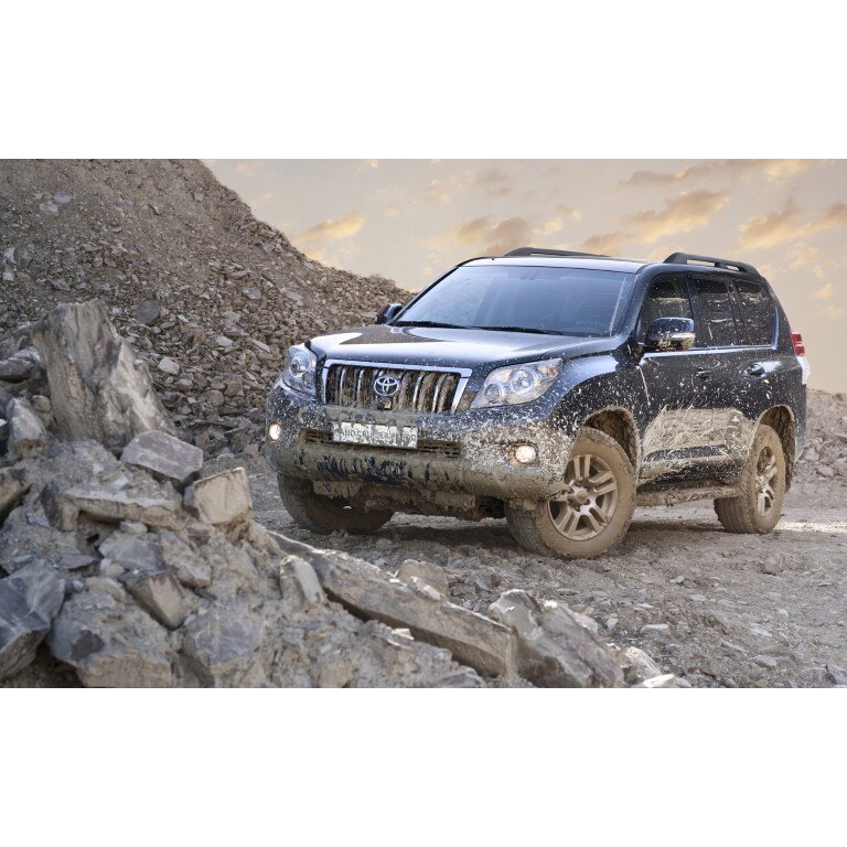 Tablou canvas 100x70 cm, Auto model 350