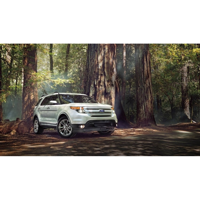 Tablou canvas 35x50 cm, Auto model 250