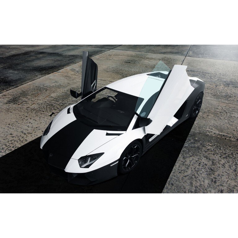 Tablou canvas 35x50 cm, Auto model 307