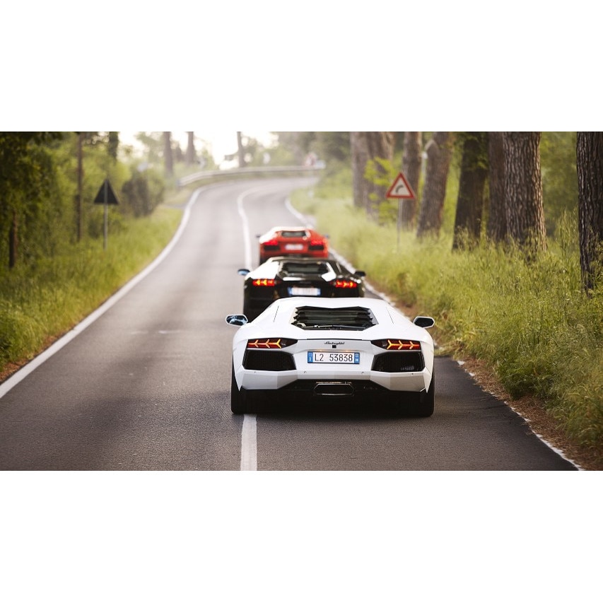 Tablou canvas 35x50 cm, Auto model 383