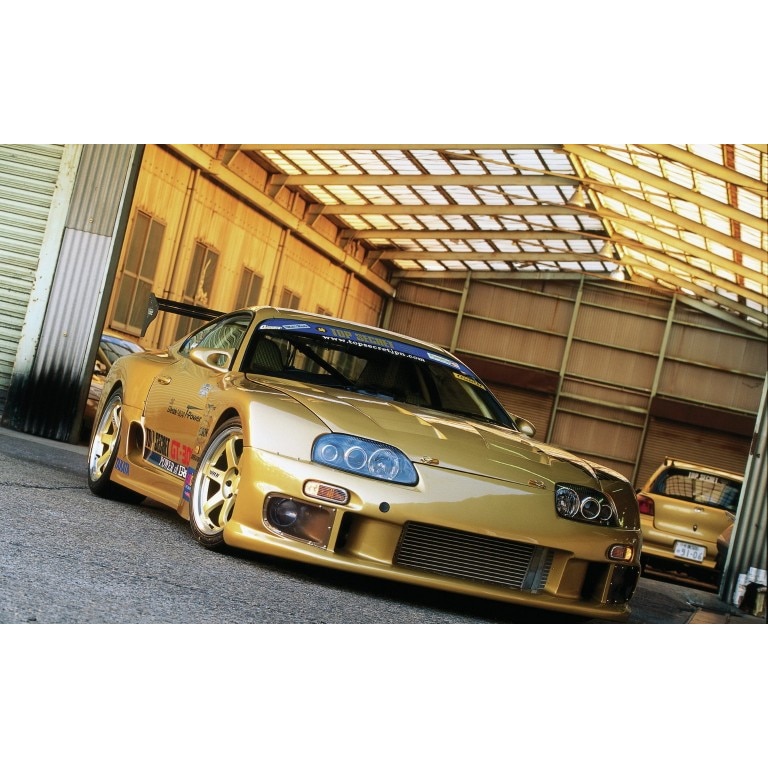 Tablou canvas 50x90 cm, Auto model 434