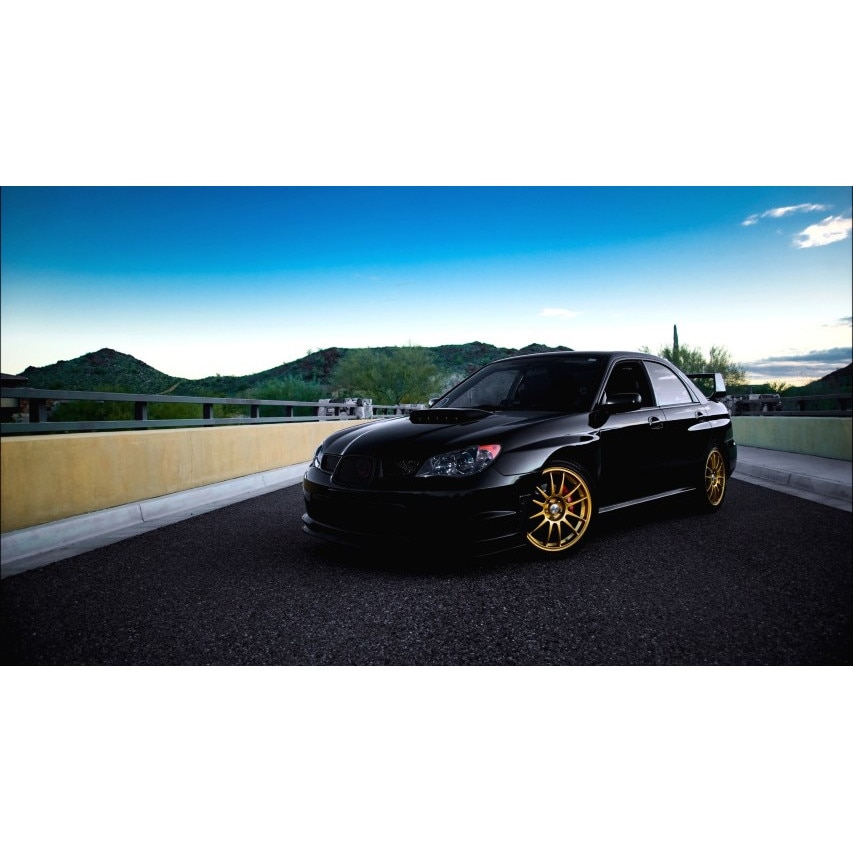 Tablou canvas 100x70 cm, Auto model 397