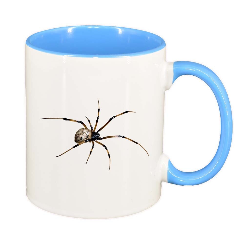 Cana Spider, interior albastru, 330ml, D308