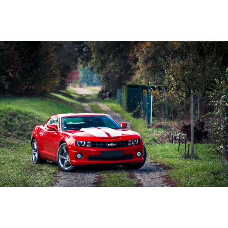 Tablou canvas 100x70 cm, Auto model 430