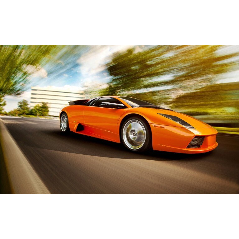 Tablou canvas 100x70 cm, Auto model 425