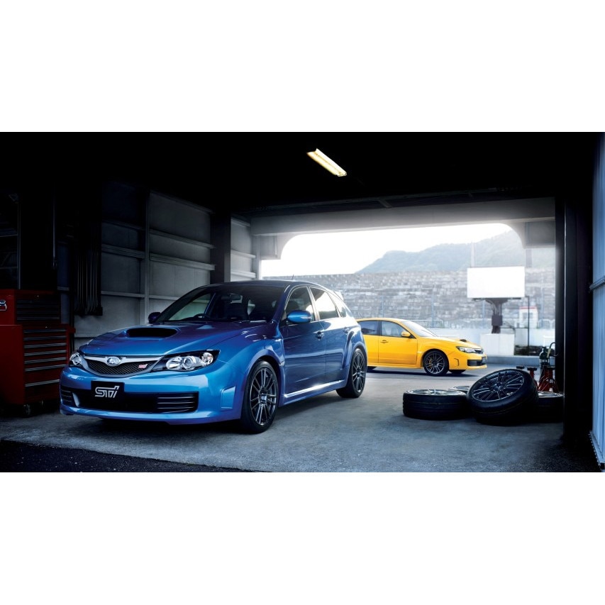 Tablou canvas 100x70 cm, Auto model 396