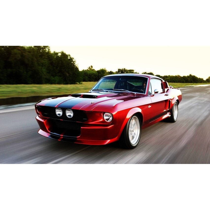 Tablou canvas 35x50 cm, Auto model 449