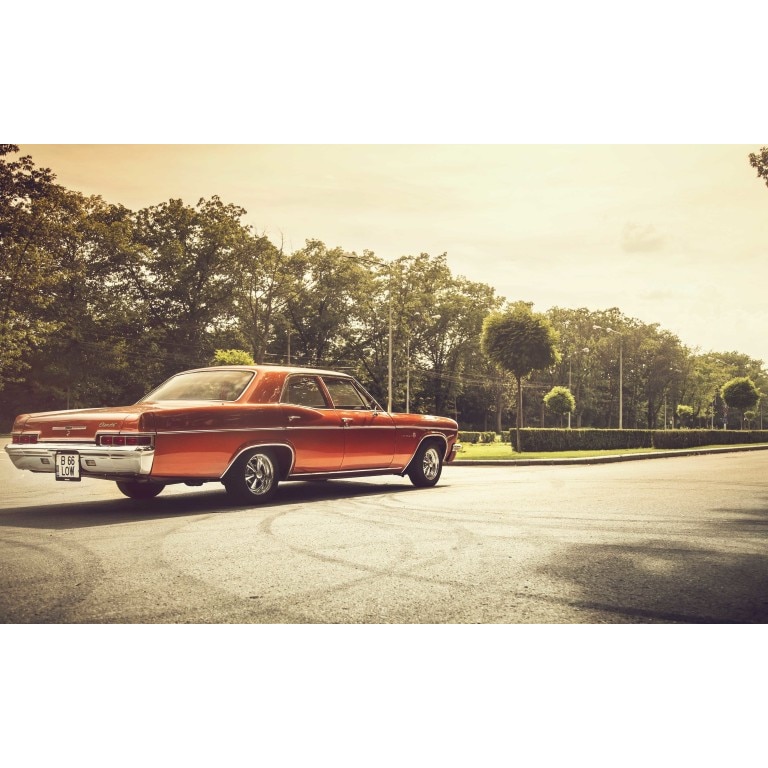 Tablou canvas 35x50 cm, Auto model 428