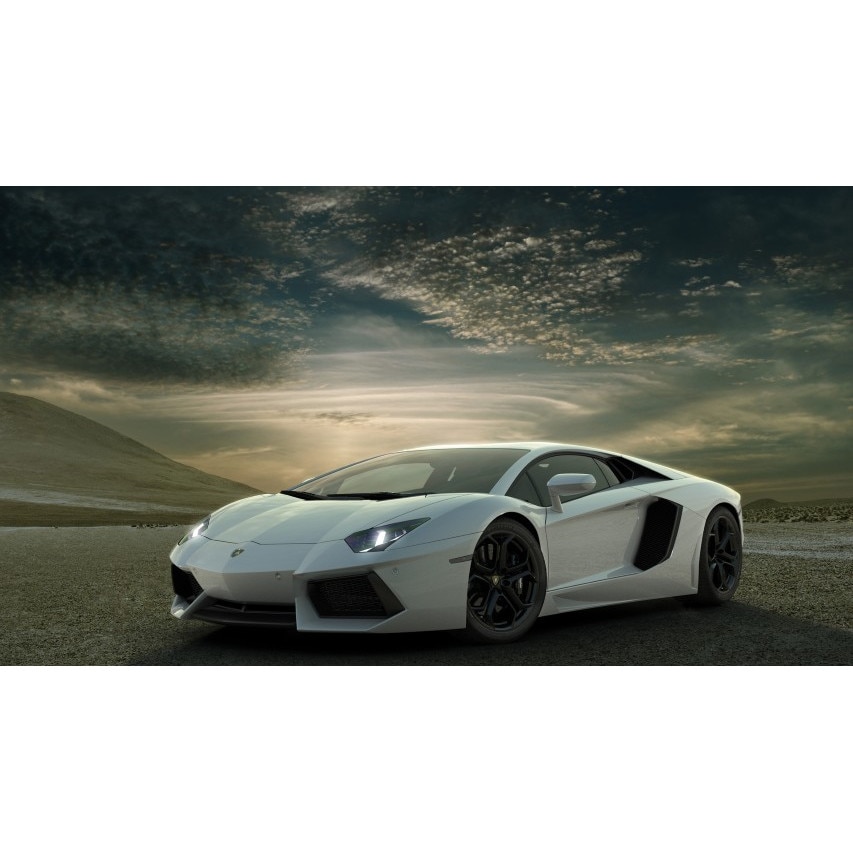 Tablou canvas 50x90 cm, Auto model 395