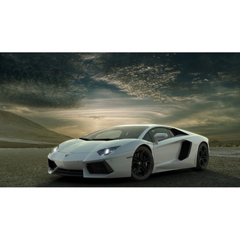 Tablou canvas 50x90 cm, Auto model 395 Tablou canvas 50x90 cm, Auto model 395