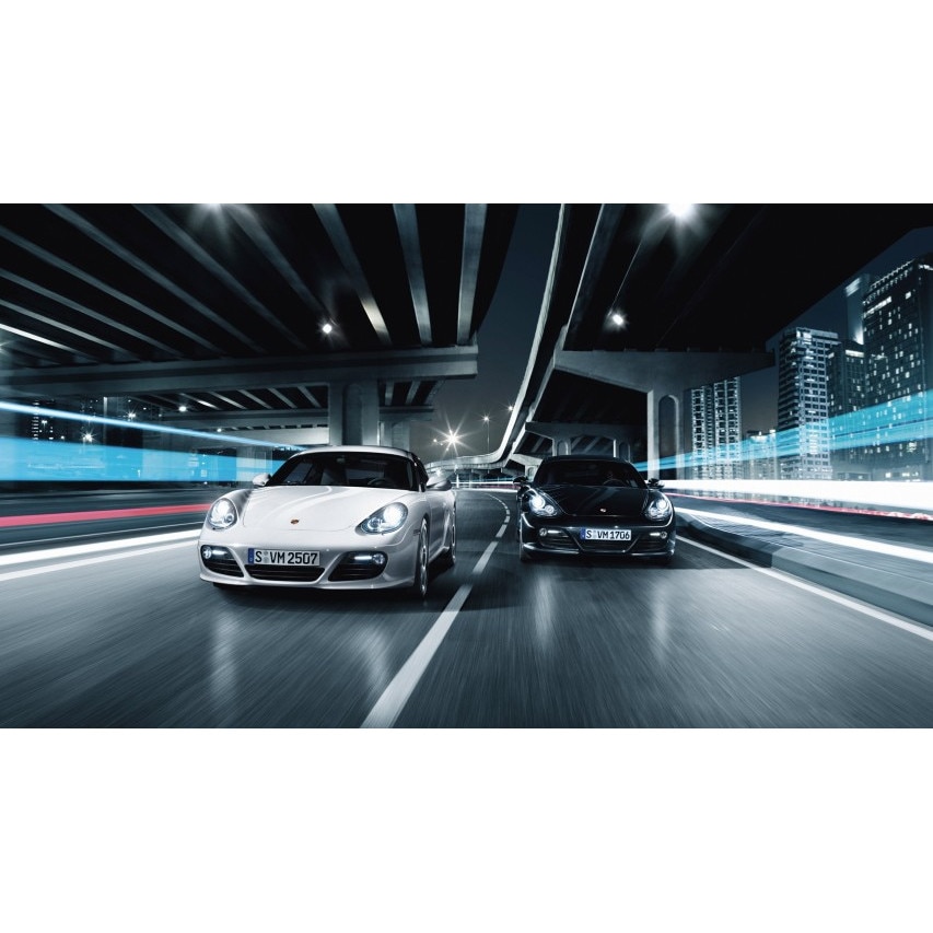 Tablou canvas 35x50 cm, Auto model 390