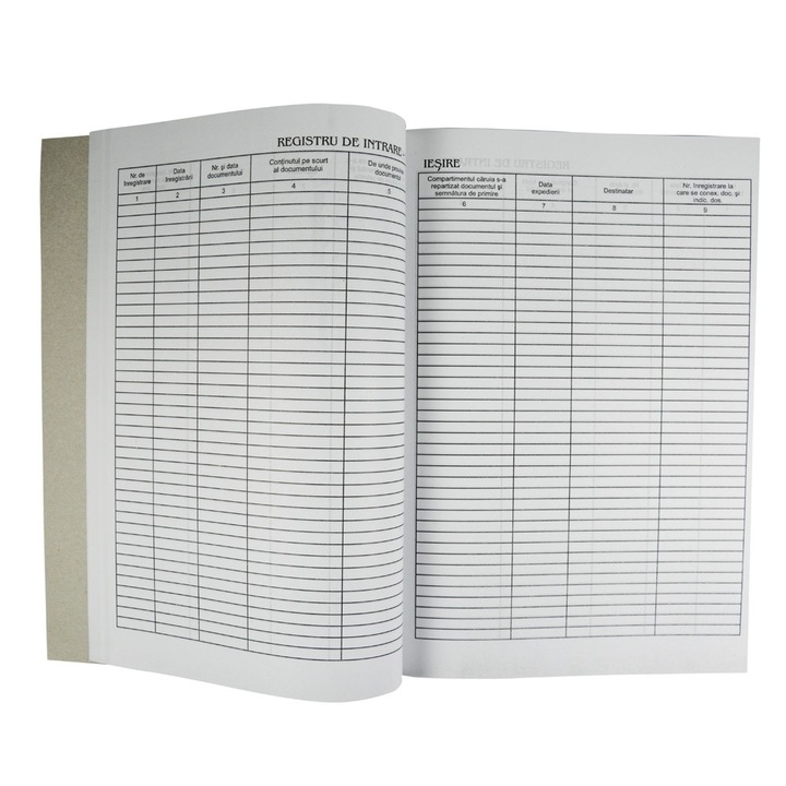 Registru intrare iesire corespondenta A4 , portret - coperta carton alb , economic , 100 pagini
