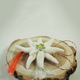 Martisor floare de Colt, modelat manual, marca Tracolla Handmade