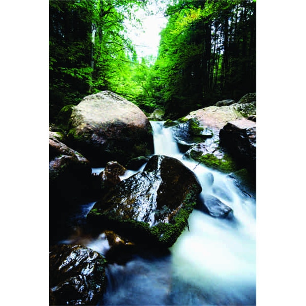 Fototapet Rau , 115 x 170 cm