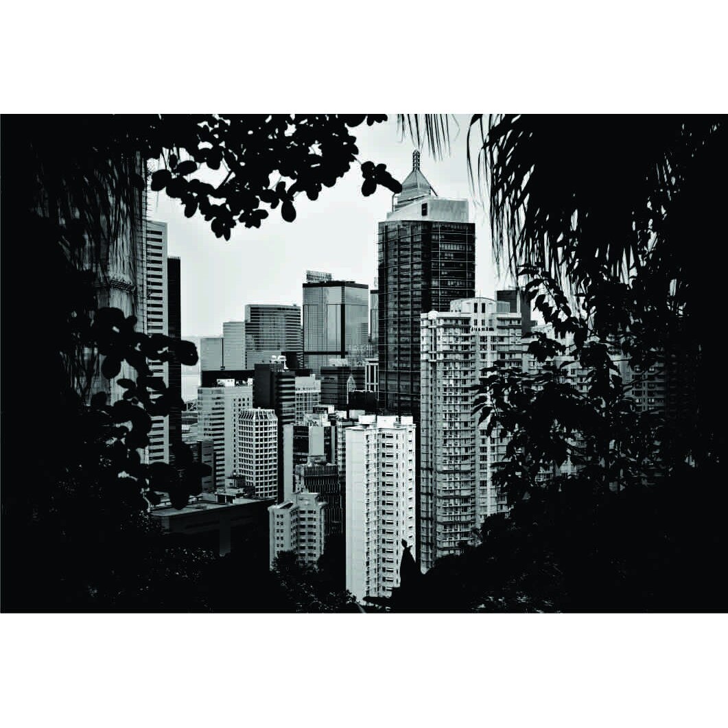 Fototapet Printre copaci, 175x 120 cm