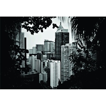 Fototapet Printre copaci, 175x 120 cm Fototapet Printre copaci, 175x 120 cm