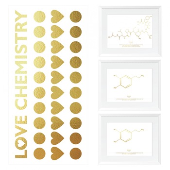 Pachet cadou - Set 3 tablouri Formula dragostei si stickere decupate Love Chemistry Pachet cadou - Set 3 tablouri Formula dragostei si stickere decupate Love Chemistry