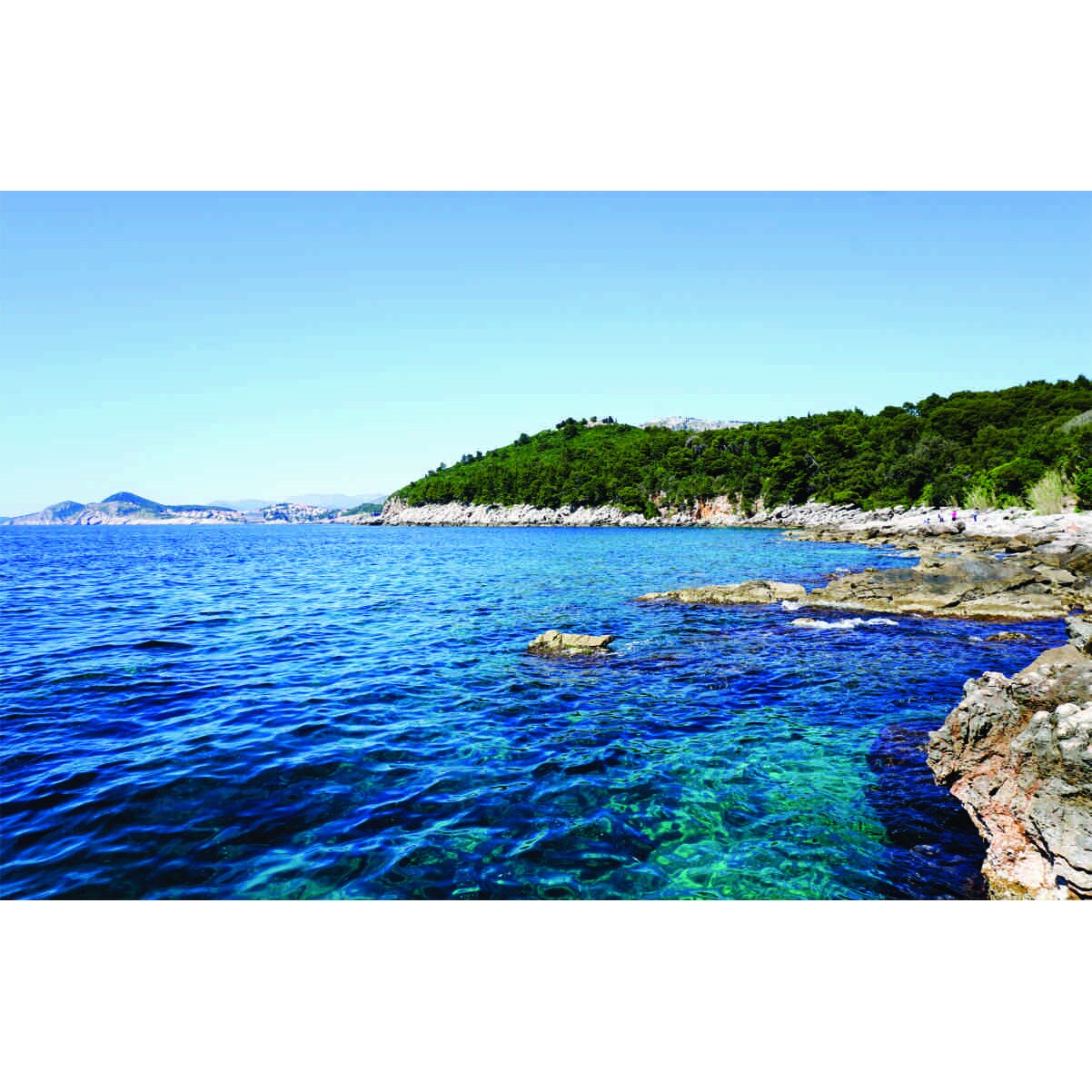 Fototapet Padure pe mal, 200x130 cm