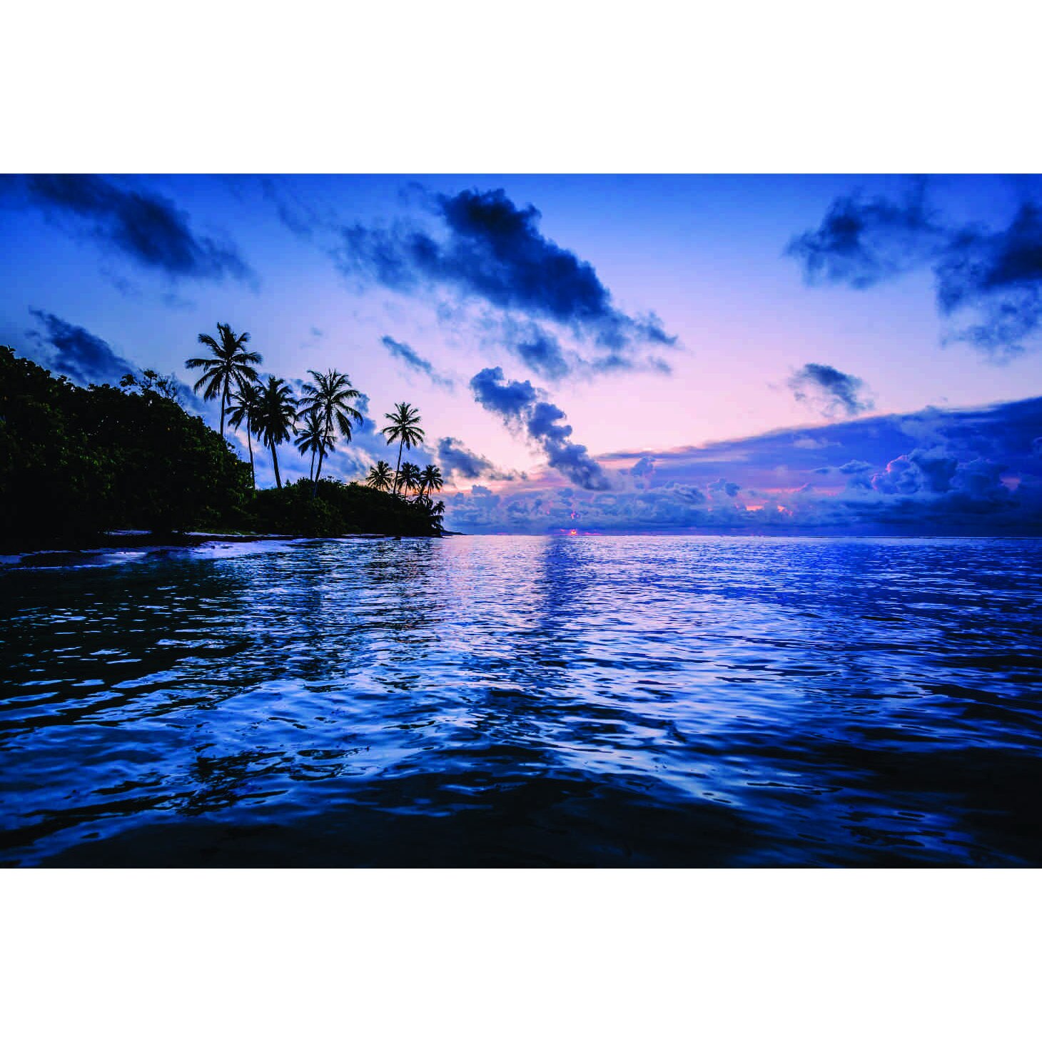 Fototapet Palmieri in apus, 180 x 120 cm