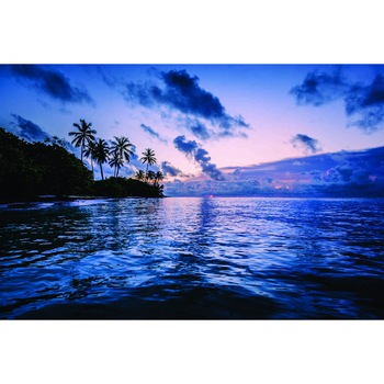 Fototapet Palmieri in apus, 180 x 120 cm Fototapet Palmieri in apus, 180 x 120 cm