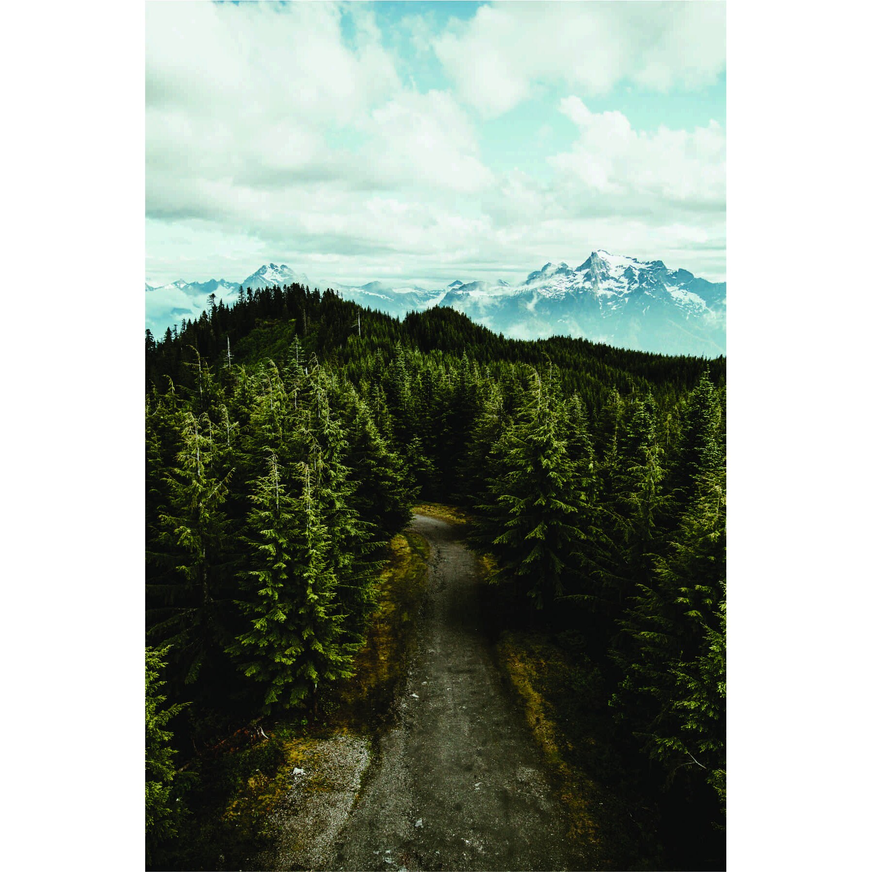 Fototapet Drum in padure, 120 x 180 cm