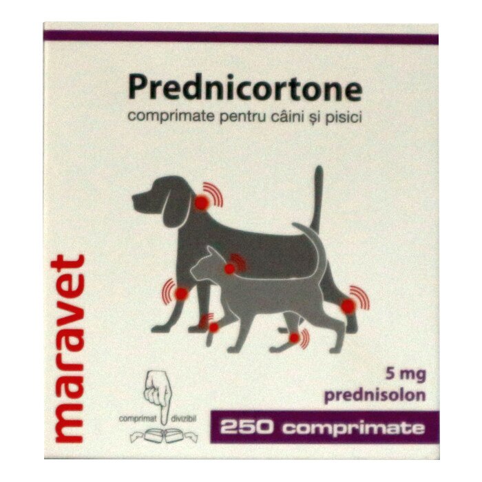 Solutie antiinflamatoare Prednicortone, tableta caine si pisica