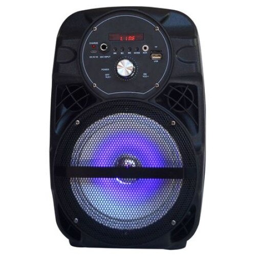 Boxa portabila Ailiang LIGE-A66, difuzor 6 inch