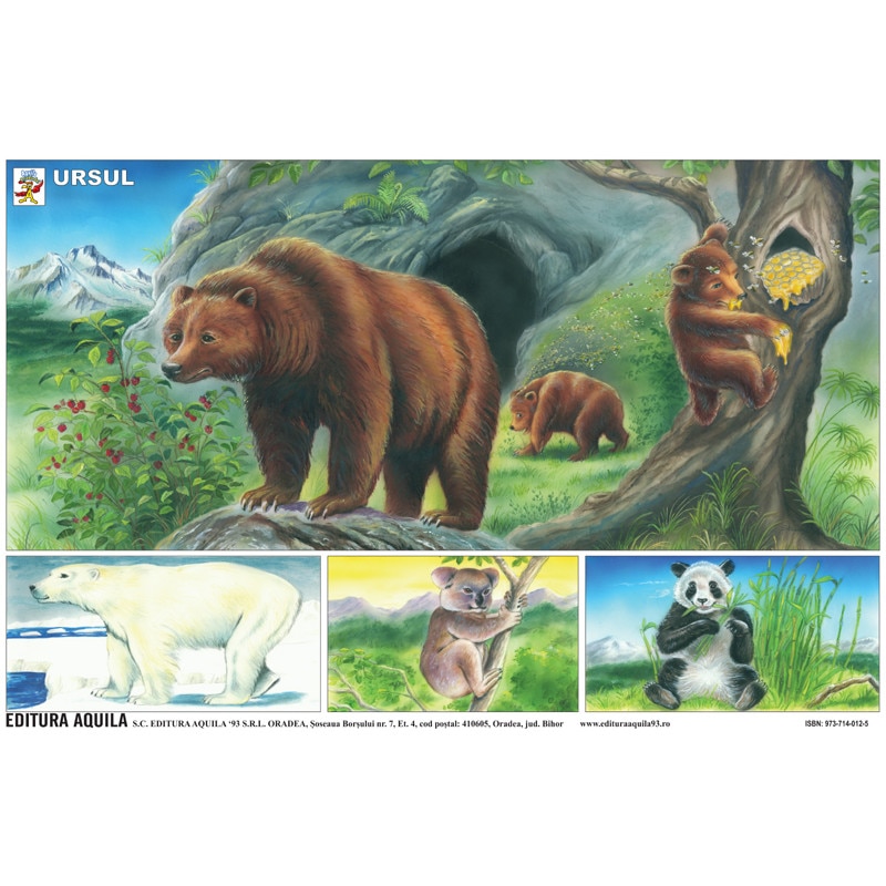 Plansa Ursul si Lumea marina, 50 x 70 cm