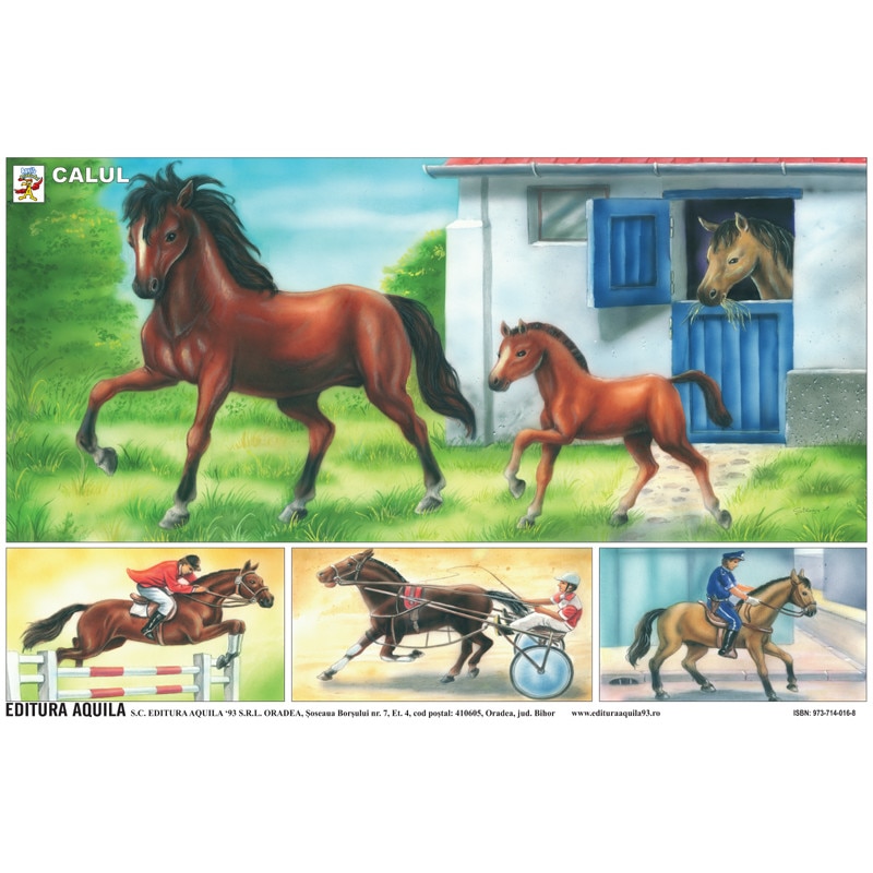 Plansa Calul si Vaca, 50 x 70 cm