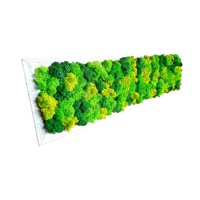 Tablou cu licheni stabilizati Berry`s Garden, Primavara, 18x73 cm