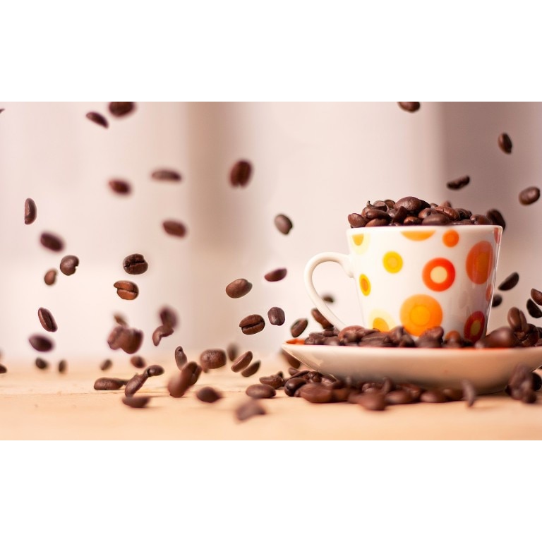 Tablou canvas 100x70 cm, Drinks and food model 96