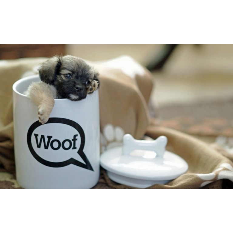 Tablou canvas 90x50 cm, Drinks and food model 146