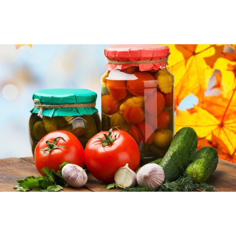 Tablou canvas 90x50 cm, Drinks and food model 101