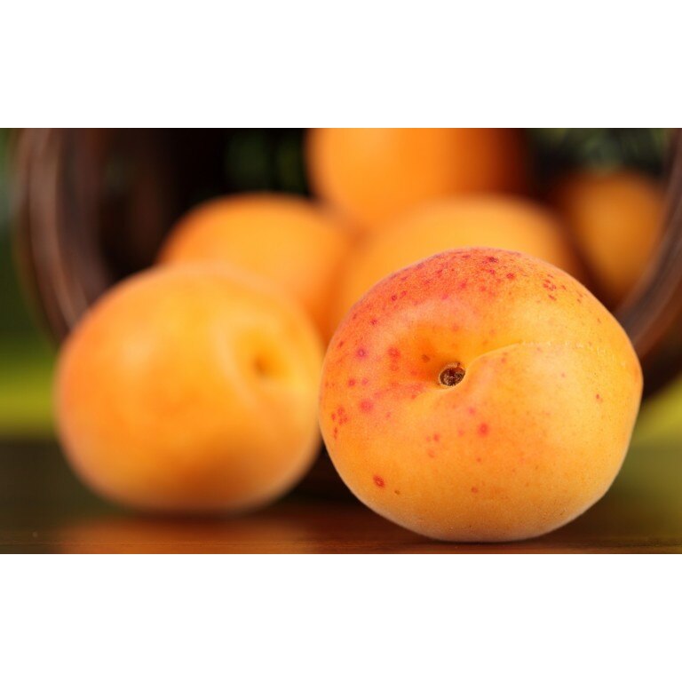 Tablou canvas 90x50 cm, Drinks and food model 115