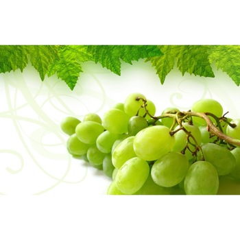 Tablou canvas 50x35 cm, Drinks and food model 32 Tablou canvas 50x35 cm, Drinks and food model 32