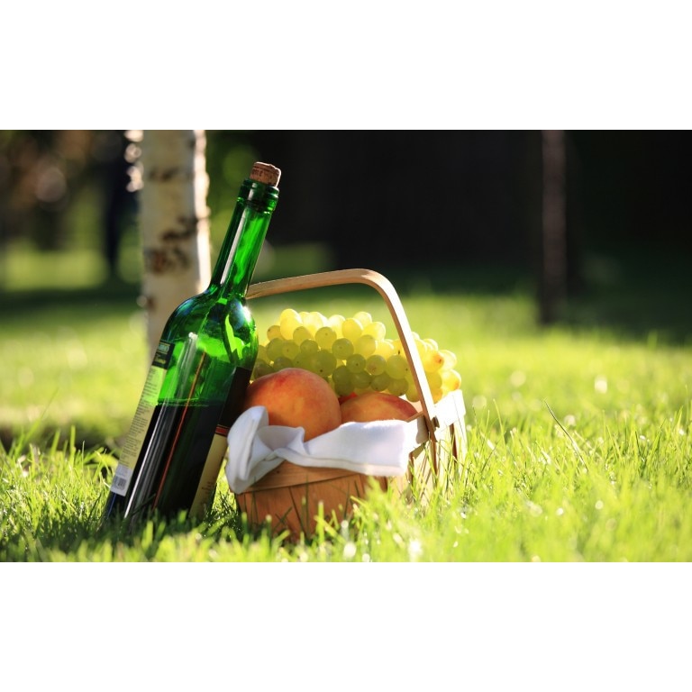 Tablou canvas 90x50 cm, Drinks and food model 120