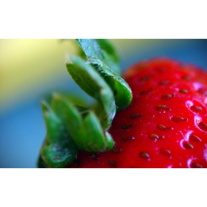 Öntapadós tapéta 80x125 cm, Ital és étel modell 97