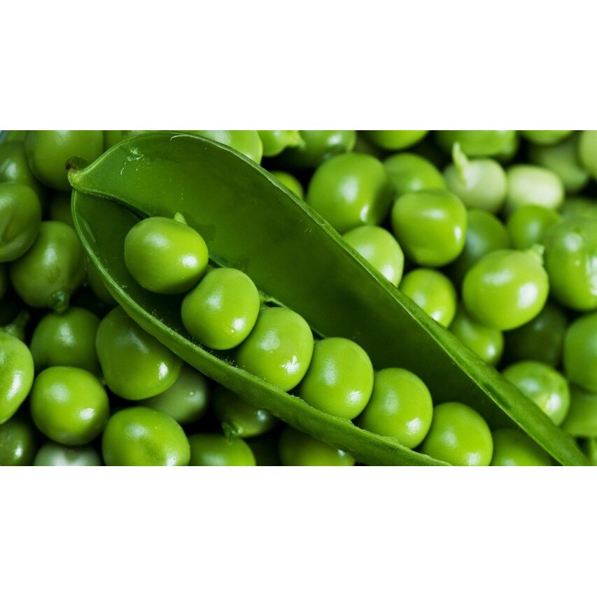 Tablou canvas 100x70 cm, Drinks and food model 30