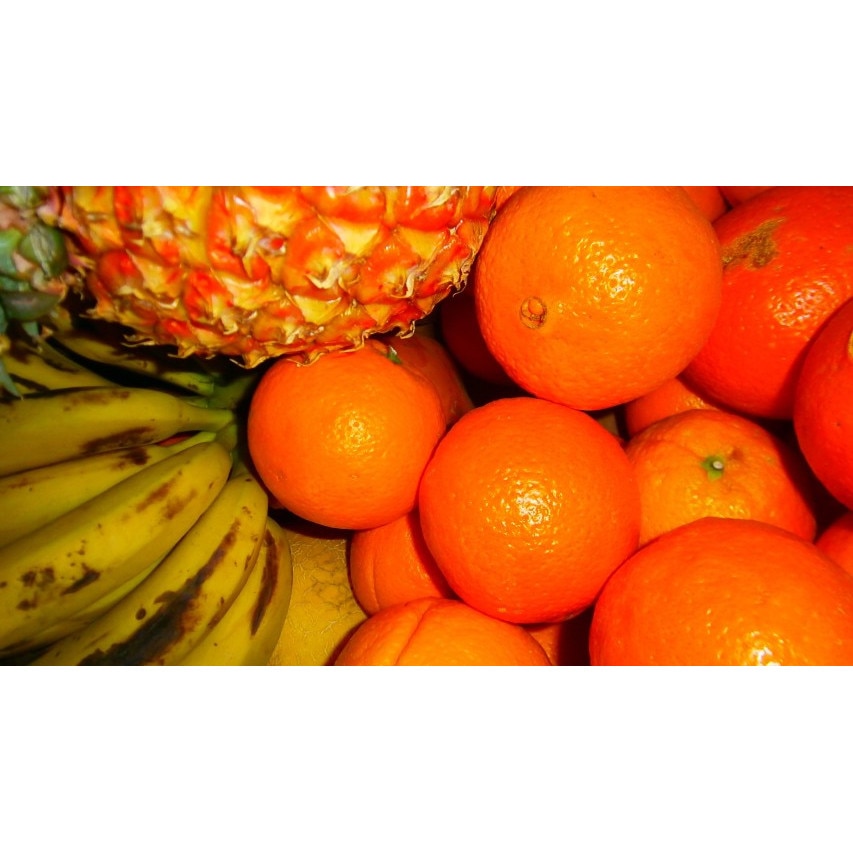 Tablou canvas 50x35 cm, Drinks and food model 72