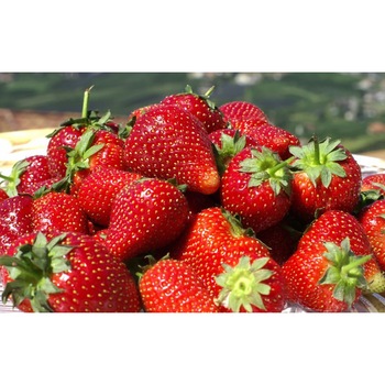 Tablou canvas 100x70 cm, Drinks and food model 129 Tablou canvas 100x70 cm, Drinks and food model 129