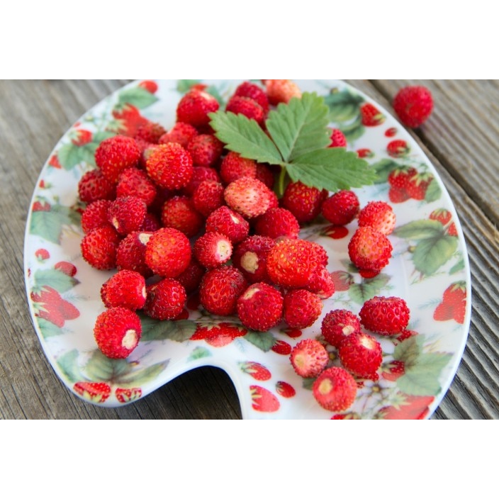 Fototapet autoadeziv 75x100 cm, Drinks and food model 175