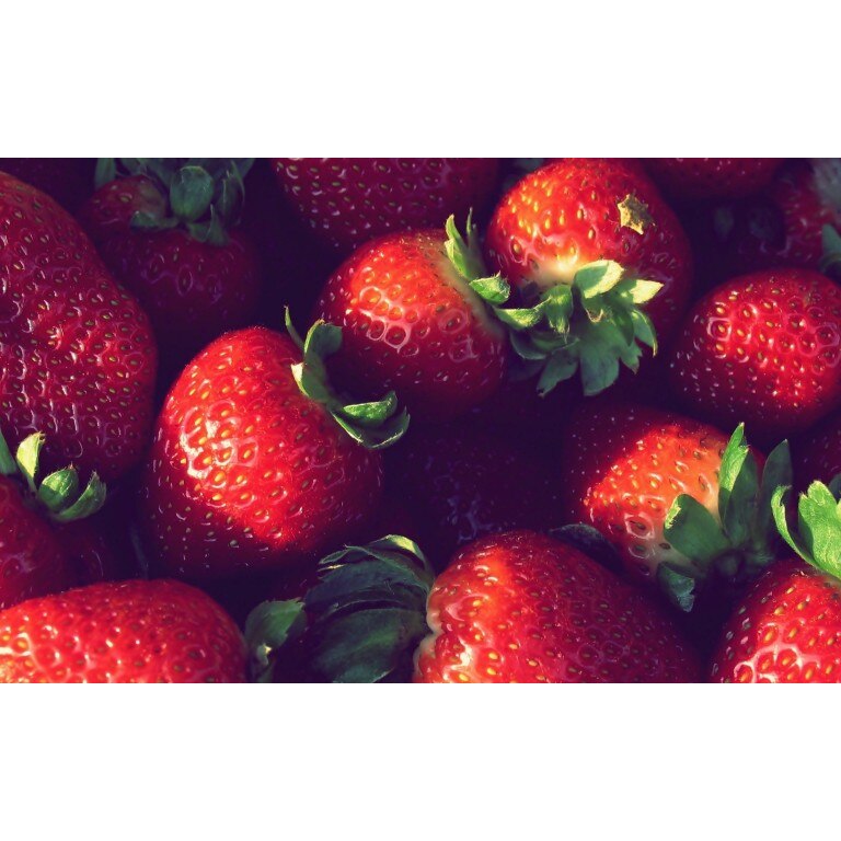 Tablou canvas 90x50 cm, Drinks and food model 157