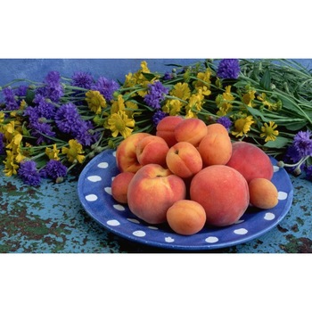 Fototapet autoadeziv 100x150 cm, Drinks and food model 173 Fototapet autoadeziv 100x150 cm, Drinks and food model 173