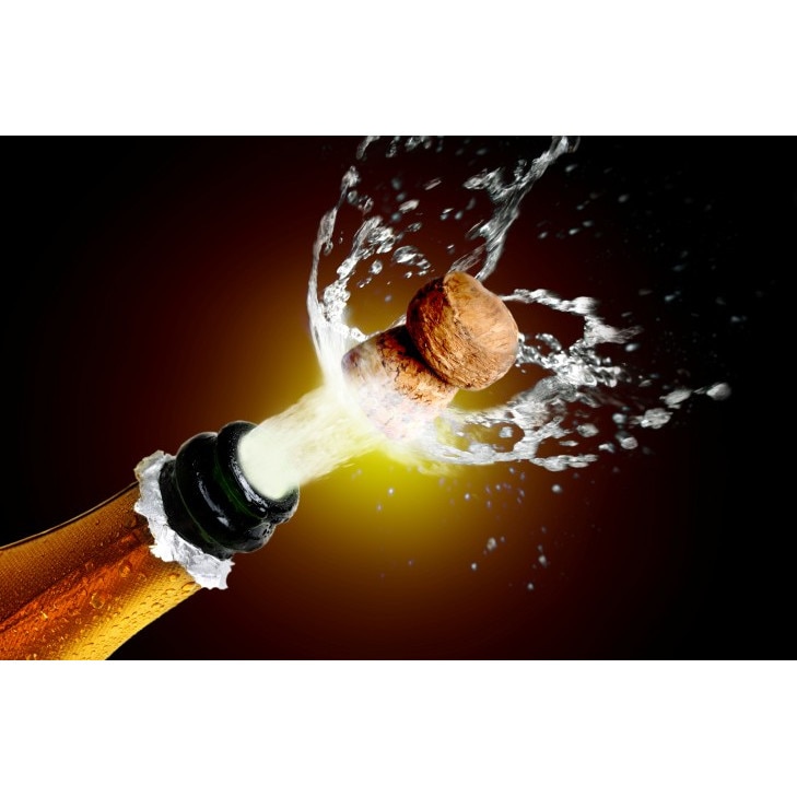 Tablou canvas 75x50 cm, Drinks and food model 232