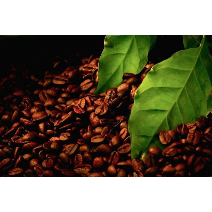 Tablou canvas 75x50 cm, Drinks and food model 239