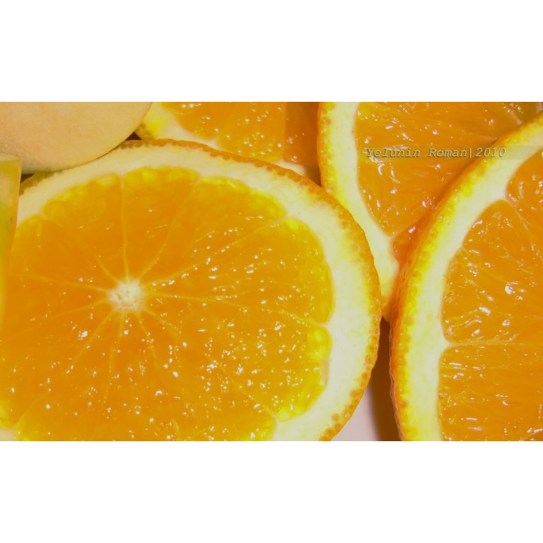 Tablou canvas 50x35 cm, Drinks and food model 25