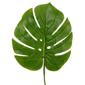 Set 5 frunze artificiale din plastic, Arly, Verde 55 cm Set 5 frunze artificiale din plastic, Arly, Verde 55 cm