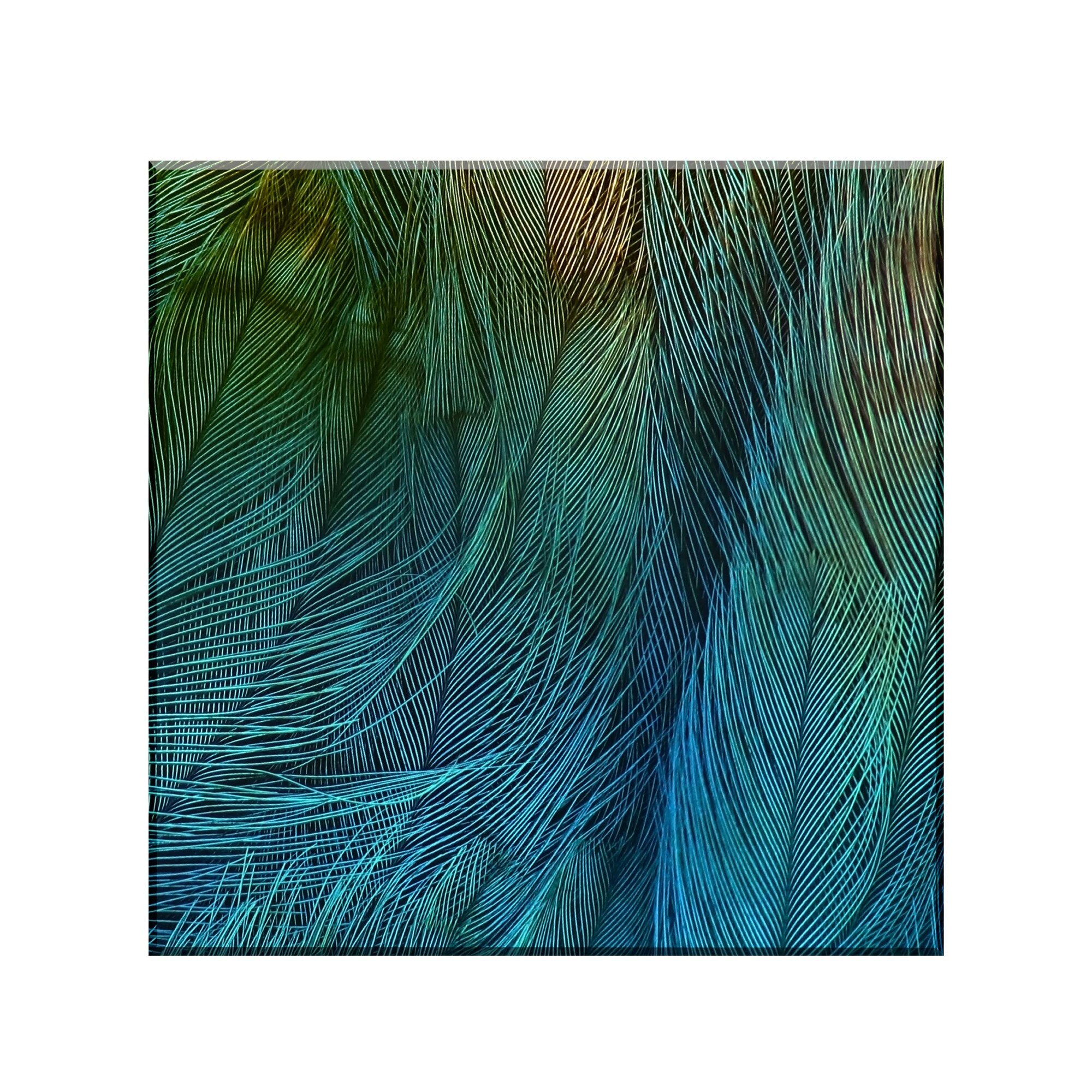 Sticla bucatarie securizata Saint Gobain Glass® imprimata 65x65cm, protectie antistropire pentru aragaz, Ambra Deco, Textura pene